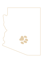 AZ-outline-with-paw-HPN